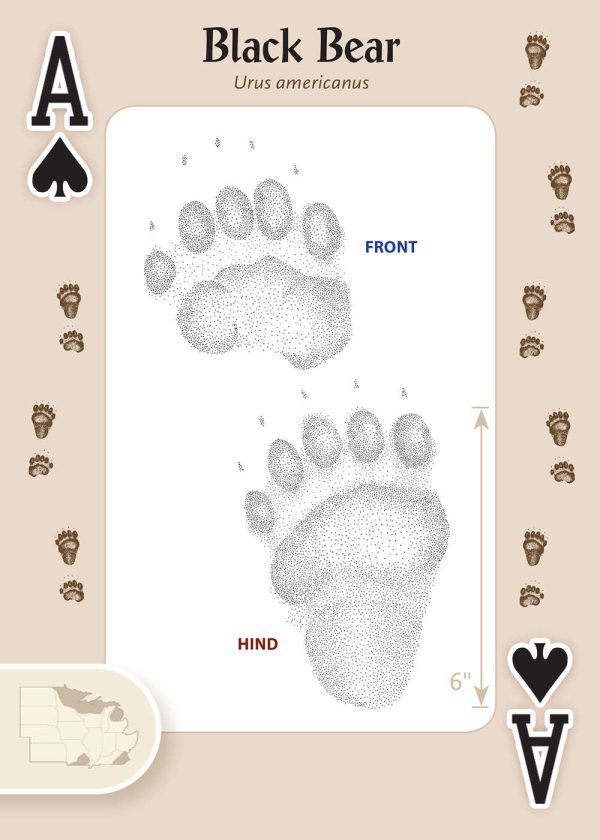 Animal Tracks of the Midwest Playing Cards Online Hot Sale - Image 2